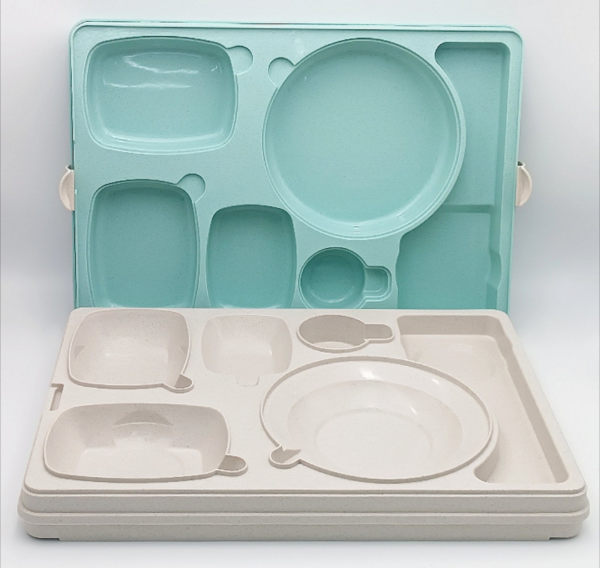 Термопіднос на 6 відділень з замком, 540 x 380 x 120 mm TT--006NL Gastro Plast PE Зелено-кремовий