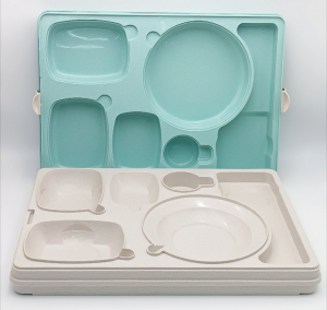 Термопіднос на 6 відділень з замком, 540 x 380 x 120 mm TT--006NL Gastro Plast PE Зелено-кремовий