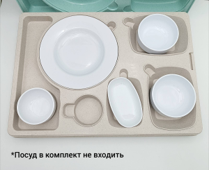 Термопіднос на 6 відділень з замком, 540 x 380 x 120 mm TT--006NL Gastro Plast PE Зелено-кремовий