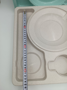 Термопіднос на 6 відділень з замком, 540 x 380 x 120 mm TT--006NL Gastro Plast PE Зелено-кремовий